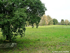 S&uuml;dfrankreich - Avignon und Umgebung - 4 Zimmer - Villa wohnung bed breakfast - andere (PR-504) photo 26 von 27