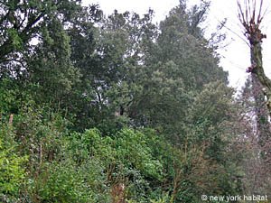 Sud della Francia 3 Camere - Villa appartamento casa vacanze - altro (PR-506) photo 13 di 15