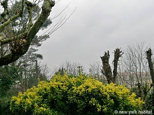 Sud della Francia 3 Camere - Villa appartamento casa vacanze - altro (PR-506) photo 15 di 15