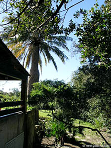 Sud della Francia 4 Camere - Villa appartamento casa vacanze - altro (PR-519) photo 7 di 32