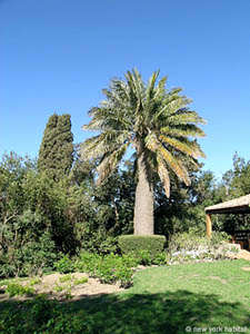 Sud della Francia 4 Camere - Villa appartamento casa vacanze - altro (PR-519) photo 12 di 32