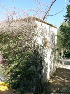 Sud della Francia 4 Camere - Villa appartamento casa vacanze - altro (PR-519) photo 14 di 32