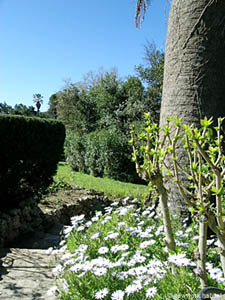 Sud della Francia 4 Camere - Villa appartamento casa vacanze - altro (PR-519) photo 24 di 32