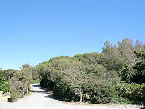 Sud della Francia 4 Camere - Villa appartamento casa vacanze - altro (PR-519) photo 32 di 32
