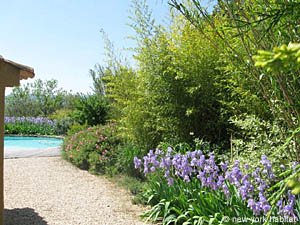 Sud della Francia - Provenza - Luberon - Monolocale - Casa di campagna - Villa affitto bed breakfast - altro (PR-533) photo 15 di 21