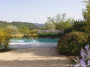 Sud della Francia - Provenza - Luberon - 2 Camere da letto - Casa di campagna appartamento casa vacanze - altro (PR-534) photo 5 di 15