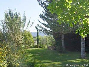 Sud della Francia - Provenza - Luberon - 2 Camere da letto - Casa di campagna appartamento casa vacanze - altro (PR-534) photo 6 di 15