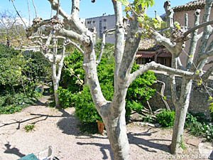 S&uuml;dfrankreich - Provence - 6 Zimmer - Villa ferienwohnung - andere (PR-546) photo 11 von 35