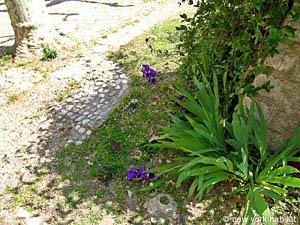 S&uuml;dfrankreich - Provence - 6 Zimmer - Villa ferienwohnung - andere (PR-546) photo 14 von 35