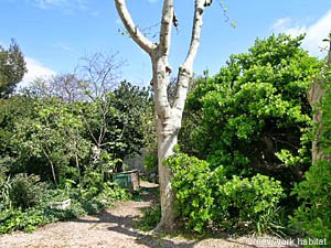 S&uuml;dfrankreich - Provence - 6 Zimmer - Villa ferienwohnung - andere (PR-546) photo 16 von 35