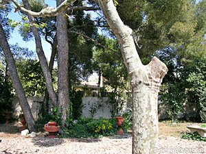 S&uuml;dfrankreich - Provence - 6 Zimmer - Villa ferienwohnung - andere (PR-546) photo 19 von 35