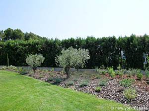 South France - Alpilles - 4 Bedroom - Villa accommodation - other (PR-556) photo 10 of 17