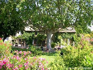 Sud de la France - Avignon et sa r&eacute;gion - Studio/T1 - Mas appartements location vacances - autre (PR-587) photo 9 de 28