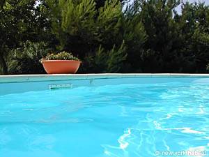 Sud de la France - Avignon et sa r&eacute;gion - Studio/T1 - Mas appartements location vacances - autre (PR-587) photo 23 de 28
