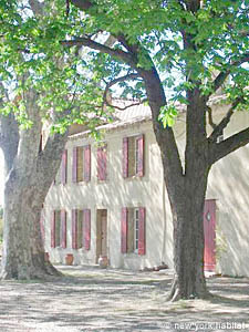 Sud de la France - Avignon et sa r&eacute;gion - T4 - Mas appartements location vacances - autre (PR-591) photo 8 de 23