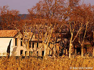 Sud della Francia - Regione di Avignone - 2 Camere - Mas appartamento casa vacanze - altro (PR-592) photo 7 di 22