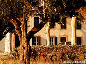 Sud della Francia - Regione di Avignone - 2 Camere - Mas appartamento casa vacanze - altro (PR-592) photo 8 di 22