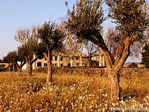 Sud della Francia - Regione di Avignone - 2 Camere - Mas appartamento casa vacanze - altro (PR-592) photo 13 di 22