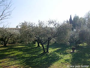 Sud de la France T2 - Maison de Village appartements location vacances - autre (PR-607) photo 12 de 18