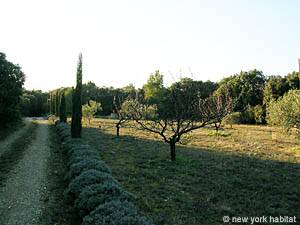 Sud della Francia - Alpilles - 4 Camere - Villa appartamento casa vacanze - altro (PR-608) photo 26 di 26