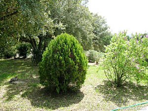 South France - French Riviera - 6 Bedroom - Villa accommodation - bathroom 2 (PR-626) photo 5 of 6