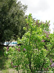 South France - French Riviera - 6 Bedroom - Villa accommodation - bathroom 2 (PR-626) photo 6 of 6