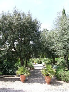 South France - French Riviera - 6 Bedroom - Villa accommodation - other (PR-626) photo 11 of 22