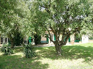 South France - French Riviera - 6 Bedroom - Villa accommodation - other (PR-626) photo 16 of 22