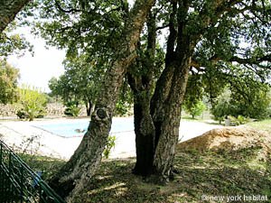 South France - French Riviera - 6 Bedroom - Villa accommodation - other (PR-626) photo 17 of 22