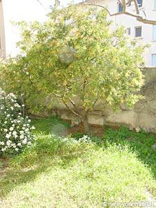 Sud della Francia 2 Camere - Villa appartamento casa vacanze - camera 1 (PR-634) photo 2 di 4