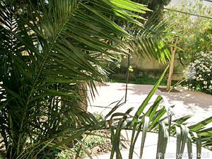 Sud della Francia 2 Camere - Villa appartamento casa vacanze - altro (PR-634) photo 6 di 23