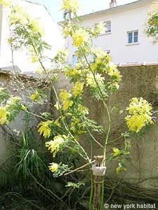 Sud della Francia 2 Camere - Villa appartamento casa vacanze - altro (PR-634) photo 9 di 23