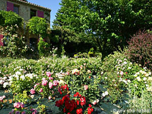 Sud de la France - Provence - Luberon - T3 - Villa appartements location vacances - chambre 2 (PR-637) photo 9 de 11