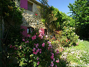 Sud de la France - Provence - Luberon - T3 - Villa appartements location vacances - salle d'eau 1 (PR-637) photo 3 de 4