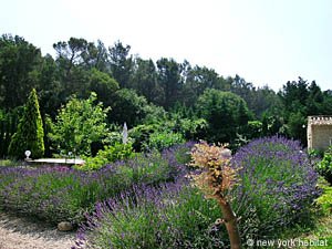 S&uuml;dfrankreich - Alpilles - Studiowohnung - Mas - Villa ferienwohnung - andere (PR-691) photo 16 von 25