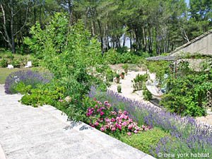 S&uuml;dfrankreich - Alpilles - Studiowohnung - Mas - Villa ferienwohnung - andere (PR-691) photo 8 von 25