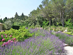 S&uuml;dfrankreich - Alpilles - Studiowohnung - Mas - Villa ferienwohnung - andere (PR-691) photo 4 von 25