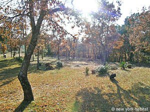 South France - Provence Luberon - 6 Bedroom - Villa accommodation - other (PR-697) photo 8 of 23