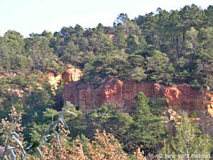 South France - Provence Luberon - 6 Bedroom - Villa accommodation - other (PR-697) photo 11 of 23
