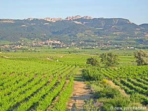 Sud de la France - Avignon et sa r&eacute;gion - T5 - Villa appartements location vacances - autre (PR-698) photo 10 de 10