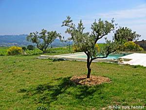 Sud de la France - Avignon et sa r&eacute;gion - T5 - Villa appartements location vacances - autre (PR-698) photo 9 de 10