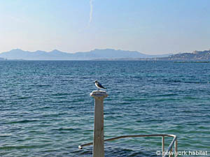 South France - French Riviera - 2 Bedroom - Villa accommodation - other (PR-717) photo 8 of 13