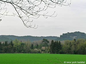 South France - Alpilles - 4 Bedroom - Mas accommodation - other (PR-718) photo 7 of 21