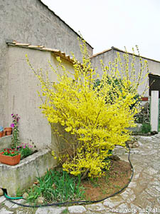 South France - Montpellier Region - Studio accommodation - other (PR-724) photo 7 of 22