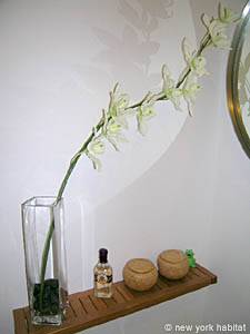 Sud della Francia Monolocale appartamento casa vacanze bagno photo 19