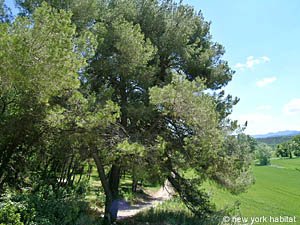 South France - Aix en Provence - Marseilles - 2 Bedroom - Maison de Village accommodation - other (PR-728) photo 5 of 23