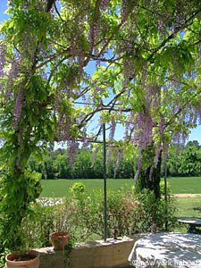 South France - Aix en Provence - Marseilles - 2 Bedroom - Maison de Village accommodation - other (PR-728) photo 11 of 23