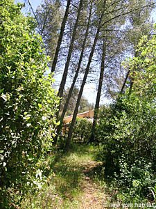South France - Aix en Provence - Marseilles - 2 Bedroom - Maison de Village accommodation - other (PR-728) photo 17 of 23