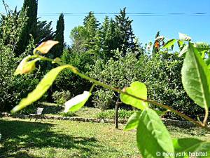 Sud de la France - Côte d'Azur - Studio T1 appartement location vacances - autre (PR-734) photo 3 sur 7 Sud de la France - Côte d'Azur - Studio T1 appartement location vacances - autre (PR-734) photo 3 sur 7