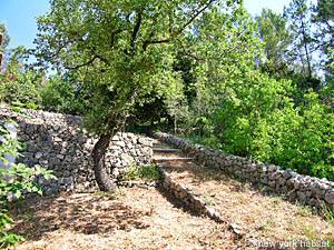 South France - Upper Var - 2 Bedroom - Villa accommodation - other (PR-744) photo 17 of 20
